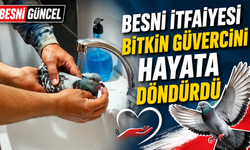Besni İtfaiyesi Bitkin Güvercini Hayata Döndürdü