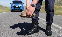 Jandarmadan Kaplumbağalar İçin Hassas Devriye