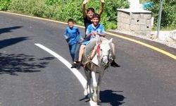 Kahta Alidam yolunda asfalt çalışmaları sürüyor