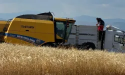 Kahta'da TMO buğday alım noktası değişti