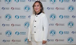 Kardemir halka arz gelirinin yüzde 90'u sermayeye