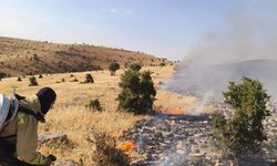 Mardin'de Çıkan Örtü ve Anız Yangını Söndürüldü