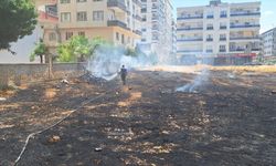Kızıltepe'de Arazideki Ot Yangını Söndürüldü