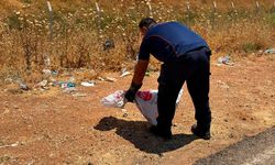 Mardin'de Bahçeye Giren Yılan Yakalandı
