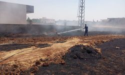 Mardin'de Çıkan Yangınlar Kontrol Altına Alındı