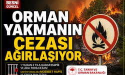 Orman Yakanı Müebbet Hapis Bekliyor