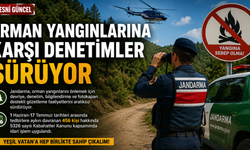 Orman Yangınlarına Karşı Denetimler Sürüyor