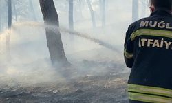 Ortaca'da Orman Yangınına Müdahale Sürüyor