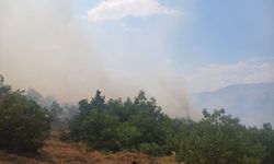 Pütürge'deki Orman Yangınına Ekipler Seferber Oldu
