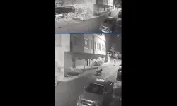 Rize'de anne ayı ve yavrularıyla karşılaştı O anlar kamerada