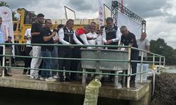 Yeşilırmak'a 30 Bin Mersin Balığı Yavrusu Bırakıldı