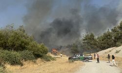 Haliliye'de orman yangınına müdahale sürüyor