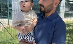 Halfeti'de Köpek Saldırısı: Küçük Çocuk Yaralandı