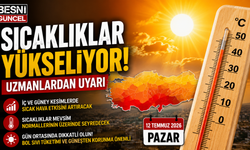 Sıcaklıklar yükseliyor! Uzmanlardan uyarı