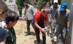 Kurtalan'da Betona Sıkışan Kedi Kurtarıldı