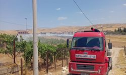 Siirt'te fıstık bahçesi ve ev yangınları söndürüldü