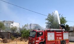 Siirt'te meyve bahçesinde çıkan yangın kontrol altına