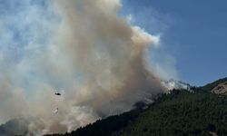 Sincik'te Orman Yangını Rüzgarın Etkisiyle Büyüyor
