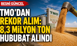 TMO'dan rekor hububat alımı: 8,3 milyon ton