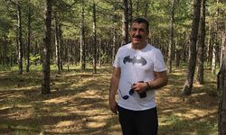 TÜRKYED'den orman yangınlarına karşı duyarlılık çağrısı