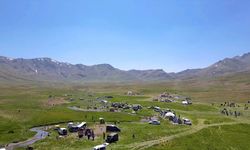 Van'da Geleneksel Bal Yuvarlama Yarışması Düzenlendi