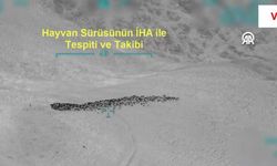 Van'da Hayvan Yağmacılarına İHA Destekli Operasyon