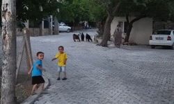 Yazıbaşı Köyü'nde parke çalışması tamamlandı