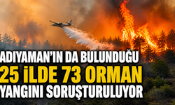 Adıyaman'ın da bulunduğu 25 ilde 73 orman yangını soruşturuluyor