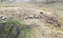 Adıyaman'da göçerler, yüksek yaylada üretimi sürdürüyor