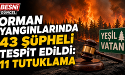 Orman Yangınlarında 43 Şüpheli Tespit Edildi: 11 Tutuklama