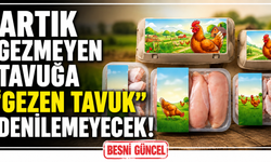 Artık Gezmeyen Tavuğa "Gezen Tavuk" Denilemeyecek