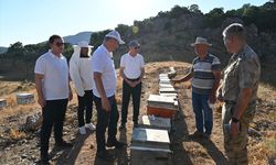 Vali Ekrem Canalp Helkıs Dağı'nda Bal Hasadına Katıldı