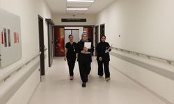 2 Bin 700 Kişi Bebek Hayaliyle Gaziantep'e Başvurdu