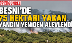 Besni Karaağaç’taki Yangın Yeniden Alevlendi