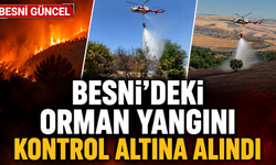 Besni'deki orman yangını kontrol altına alındı