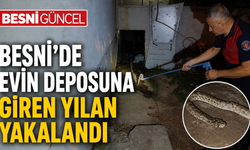 Besni’de evin deposuna giren yılan yakalandı