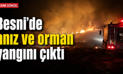 Besni’de anız ve orman yangınına müdahale