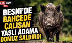 Besni'de Korku Dolu Anlar: Bahçede Çalışırken Domuz Saldırısına Uğradı