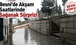 Besni’de Beklenen Yağmur Erken Geldi