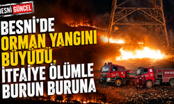 Besni'de Orman Yangını Büyüdü, İtfaiye Ölümle Burun Buruna