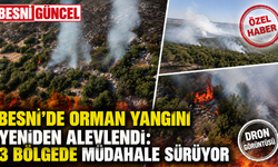 Besni’de Orman Yangını Yeniden Alevlendi: 3 Bölgede Müdahale Sürüyor