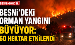 Besni'deki orman yangını büyüyor: 60 hektar etkilendi