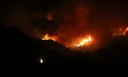 Cezayir’de Orman Yangını Felaketi: 12 Kişi Hayatını Kaybetti