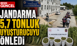Diyarbakır’da 247 Bin Kök Kenevir ve Skunk İmha Edildi