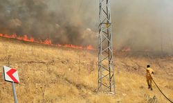 Diyarbakır'da ormana sıçrayan yangına müdahale ediliyor
