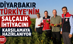 Diyarbakır’da Salçalık Biber ve Domates Hasadı Başladı