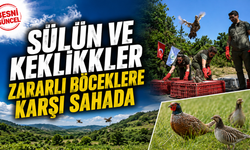 Erbaa'da 1500 Sülün ve Keklik Doğayla Buluştu