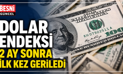 Dolar Endeksi 2 Ay Sonra İlk Kez Geriledi