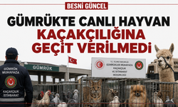 Gümrükte canlı hayvan kaçakçılığına geçit verilmedi