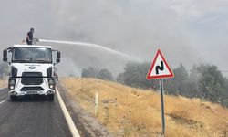 Şırnak'ta Orman Yangını Kontrol Altına Alındı